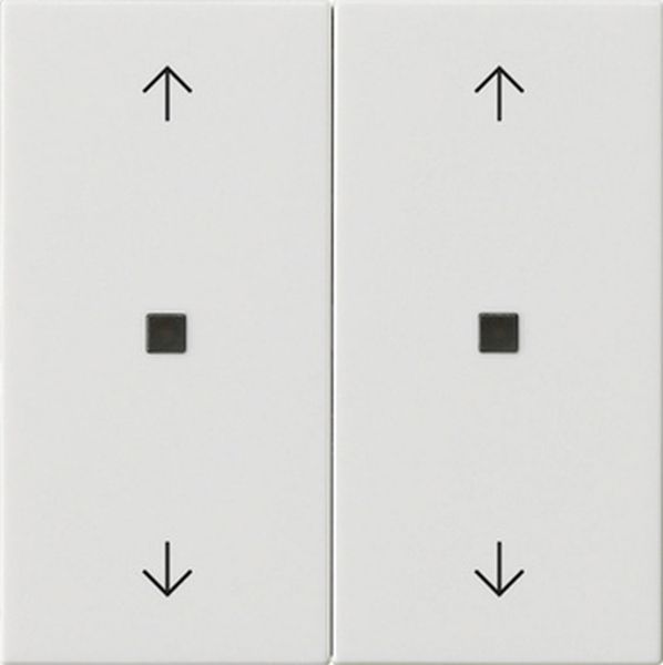 Gira 538603 Wippe 2-fach mit Pfeilsymbolen und Kontrollfenster System 55 Reinweiß glänzend