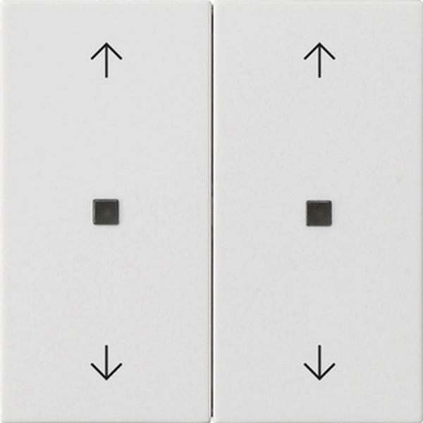 Gira 538627 Wippe 2-fach mit Pfeilsymbolen und Kontrollfenster System 55 Reinweiß seidenmatt