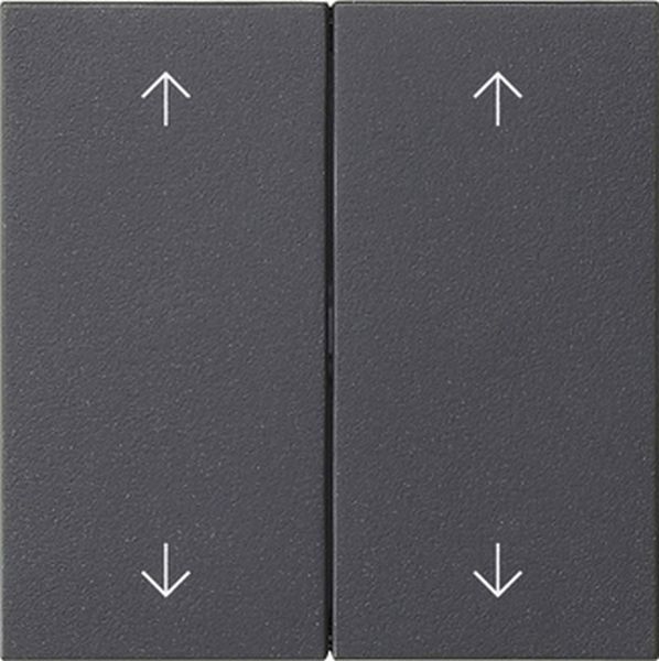 Gira 538728 Wippe 2f Pfeile System 55 Anthrazit