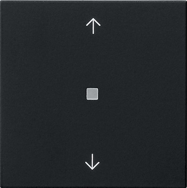 Gira 5388005 Wippe 1f Pfeile Kontrollf. System 55 Schwarz m