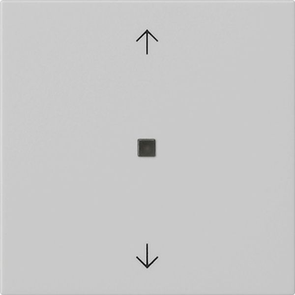 Gira 5388015 Wippe 1-fach mit Pfeilsymbolen und Kontrollfenster System 55 Grau matt