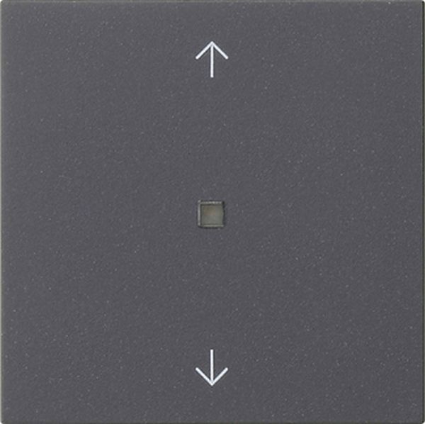 Gira 538828 Wippe 1f Pfeile Kontrollf. System 55 Anthrazit