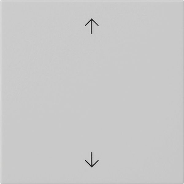 Gira 5389015 Wippe 1-fach mit Pfeilsymbolen System 55 Grau matt