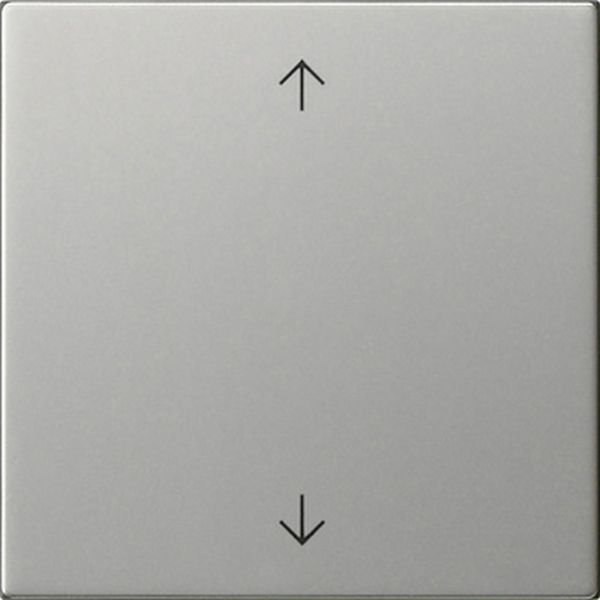 Gira 5389600 Wippe 1f Pfeile System 55 Edelstahl