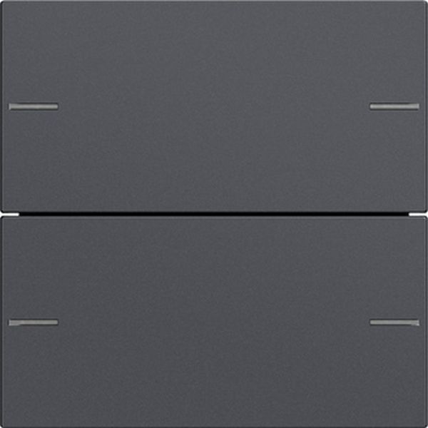 Gira 575228 Wippenset 2f Tastsens.4.55 Anthrazit