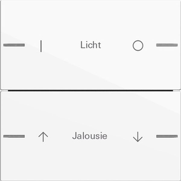 *** Gira 576203 Wippenset 2-fach individuell für Tastsensor 4 System 55 Reinweiß glänzend (Bitte denken Sie an die Gira-Konfiguration!)