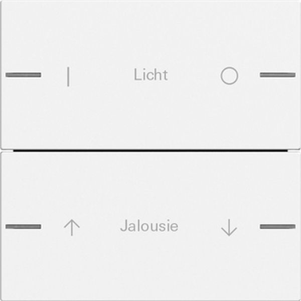 *** Gira 576227 Wippenset 2-fach individuell für Tastsensor 4 System 55 Reinweiß seidenmatt (Bitte denken Sie an die Gira-Konfiguration!)