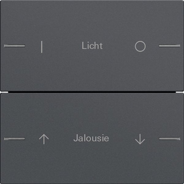 *** Gira 576228 Wippenset 2-fach individuell für Tastsensor 4 System 55 Anthrazit (Bitte denken Sie an die Gira-Konfiguration!)