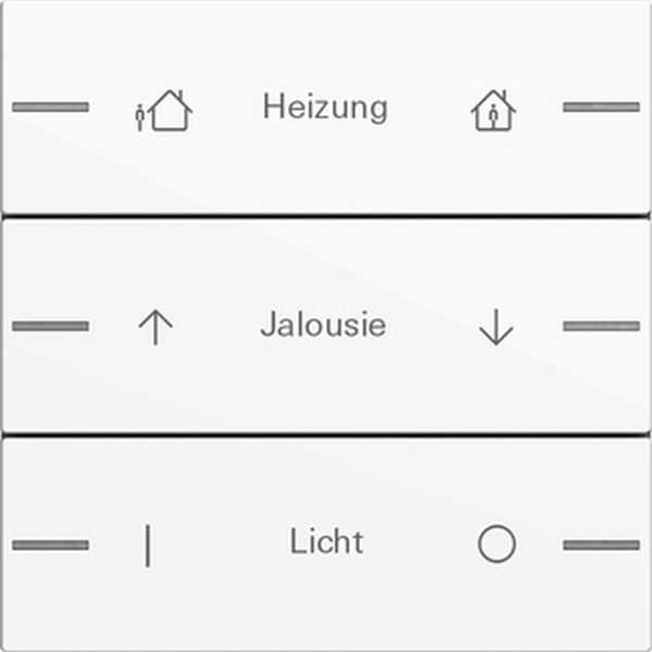 *** Gira 576303 Wippenset 3-fach individuell für Tastsensor 4 System 55 Reinweiß glänzend (Bitte denken Sie an die Gira-Konfiguration!)