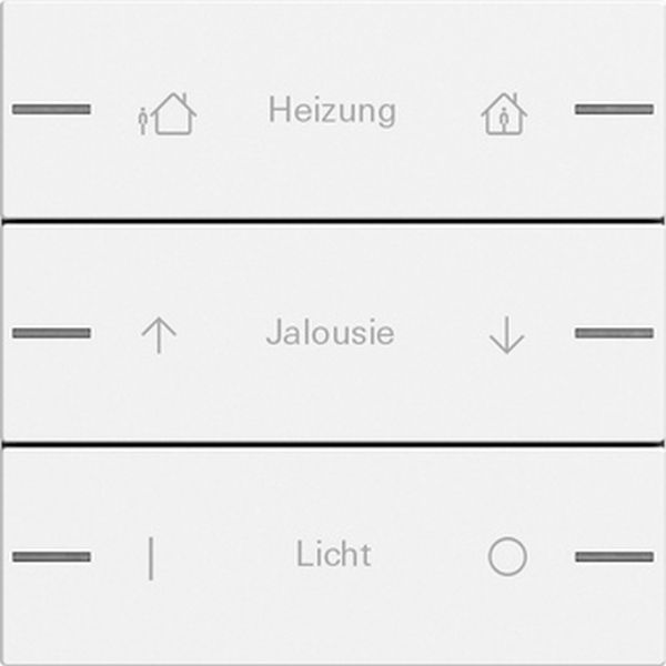 *** Gira 576327 Wippenset 3-fach individuell für Tastsensor 4 System 55 Reinweiß seidenmatt (Bitte denken Sie an die Gira-Konfiguration!)