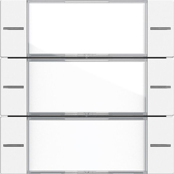 Gira 577327 Wippenset 3-fach mit Beschriftungsfeld für Tastsensor 4 System 55 Klar Reinweiß seidenmatt