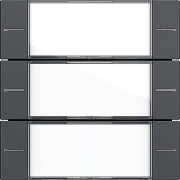 Gira 577328 Wippenset 3f BSF Tastsens.4.55 Klar/Anthrazit