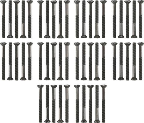 Gira 818100 Set Linsenkopfschrauben 50 Stck. WG AP