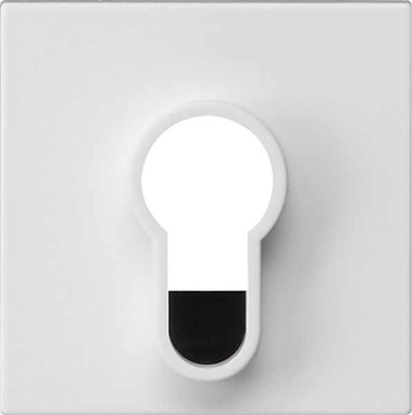 Gira 866427 Abd.Schlüsselschalter/-taster o.Aufdruck System 55 Reinweiß m