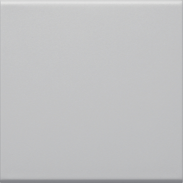 Hager GW1B7035 Wippe 1-fach für Schalter/Taster für Rahmenblende 55 halogenfrei lichtgrau