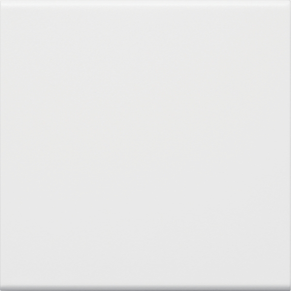 Hager GW1B9010 Wippe 1-fach für Schalter/Taster für Rahmenblende 55 halogenfrei reinweiß