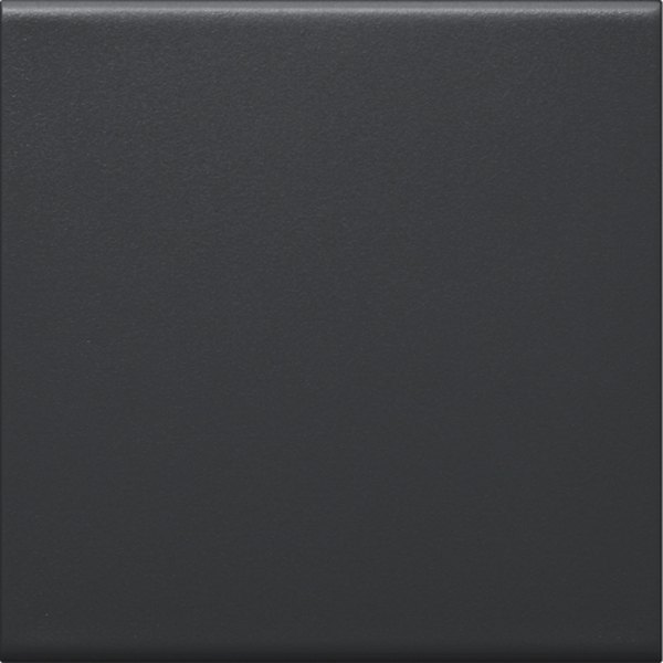 Hager GW1B9011 Wippe 1-fach für Schalter/Taster für Rahmenblende 55 halogenfrei graphitschwarz