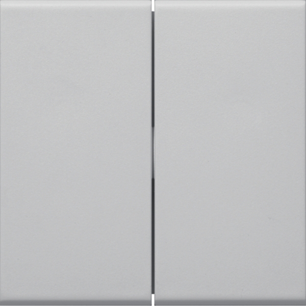 Hager GW2B7035 Wippe 2-fach für Schalter/Taster für Rahmenblende 55 halogenfrei lichtgrau