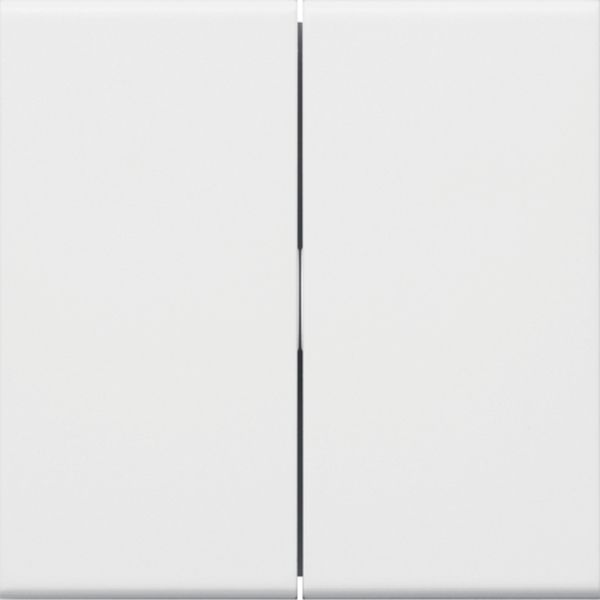 Hager GW2B9010 Wippe 2-fach für Schalter/Taster für Rahmenblende 55 halogenfrei reinweiß