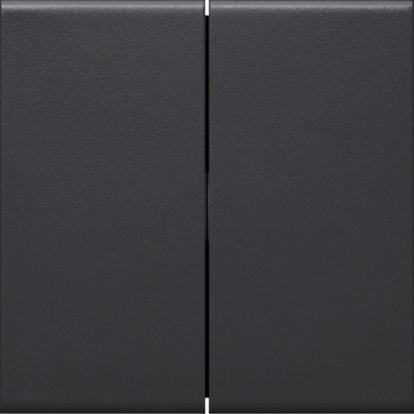Hager GW2B9011 Wippe 2-fach für Schalter/Taster für Rahmenblende 55 halogenfrei graphitschwarz