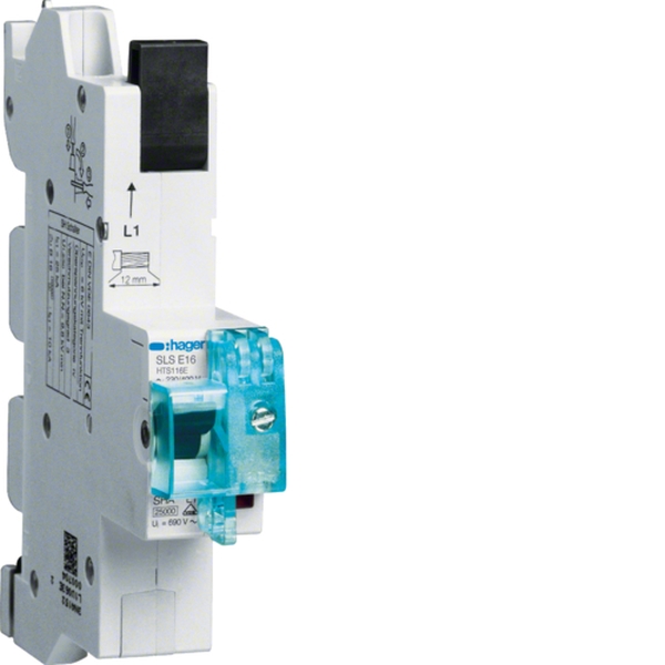 Hager HTS116E SLS-Schalter 1-polig E-Charakteristik 16A für Sammelschiene QuickConnect