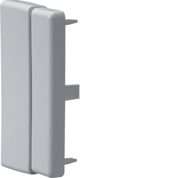 Hager LFF601167035 Endstück einstellbar schnittkaschierend halogenfrei zu LF/LFH 40,60x110mm lichtgrau