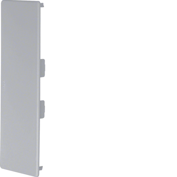 Hager M55337030 Endstück aus PVC zu Leitungsführungskanal LF/FB 60x190mm steingrau