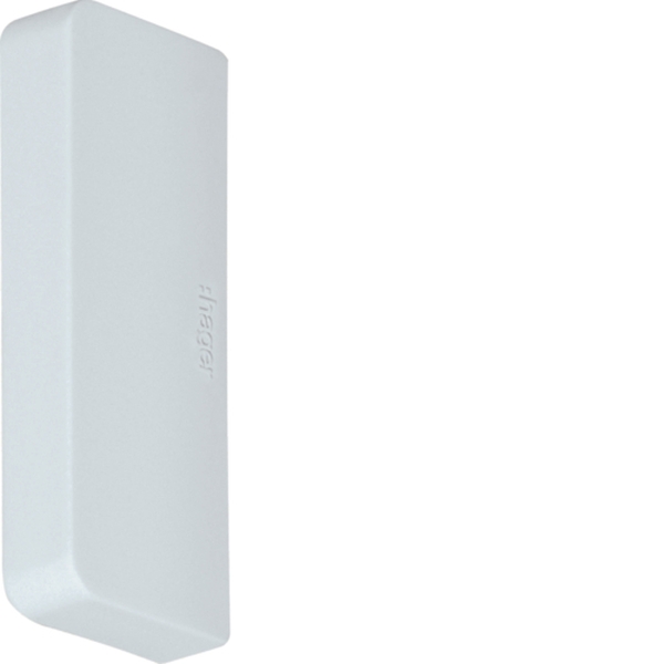 Hager M59587035 Endstück schnittkaschierend PVC zu Leitungsführungskanal LF 18x45mm lichtgrau