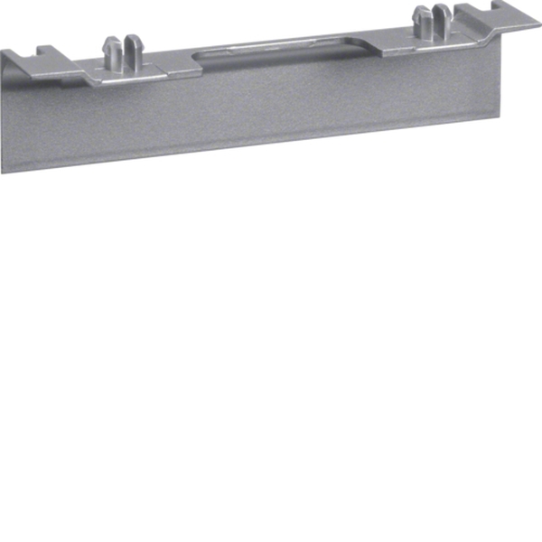 Hager SL20055ACD1 Geräteträgerschürze für Geräteträger universal design SL 20x55mm Dekor Aluminium