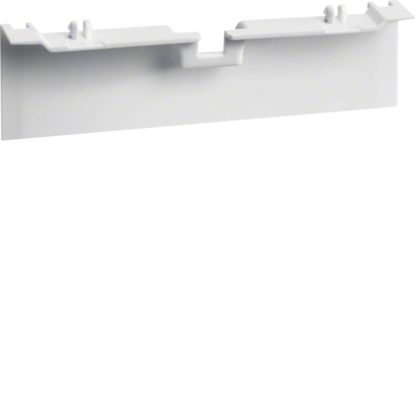 Hager SL20080A9010 Geräteträgerschürze für Geräteträger zu SL 20x80mm reinweiß