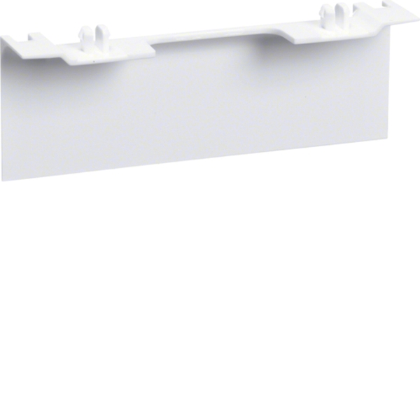 Hager SL20080AC9010 Geräteträgerschürze für Geräteträger universal design SL 20x80mm reinweiß