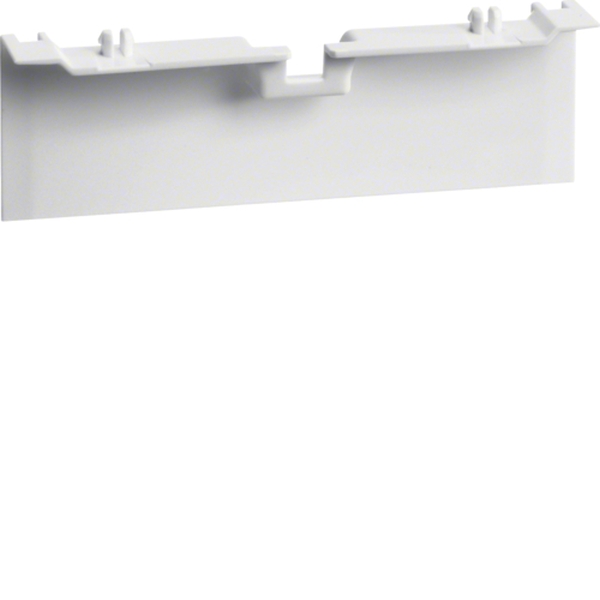 **Hager SL20115A9010 Geräteträgerschürze für Geräteträger zu SL 20x115mm reinweiß