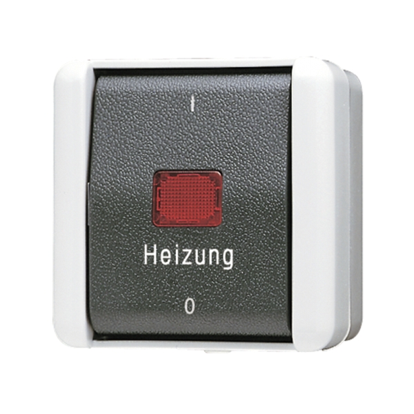 Jung 802HW Heizungsschalter Aus 2-polig 10AX 250V IP44 WG 800