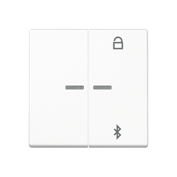 Jung A1751BTWW LB-ManagementTimer Universal Bluetooth® Duroplast Serie A alpinweiß