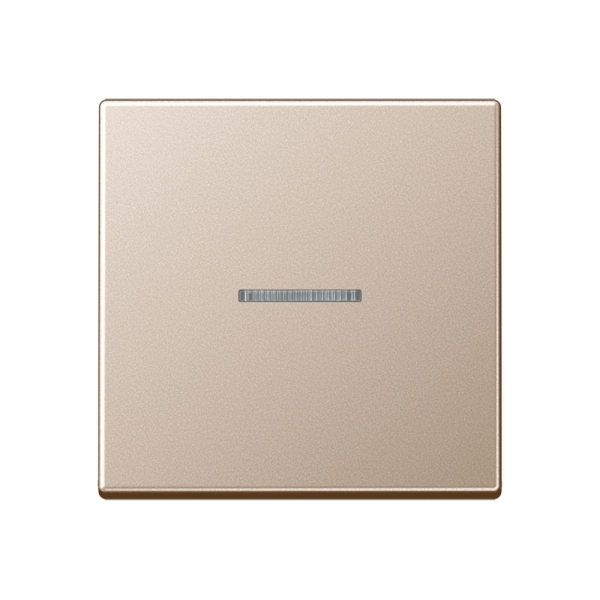 Jung A590KO5CH Wippe 1-fach mit Lichtleiter Serie A champagner