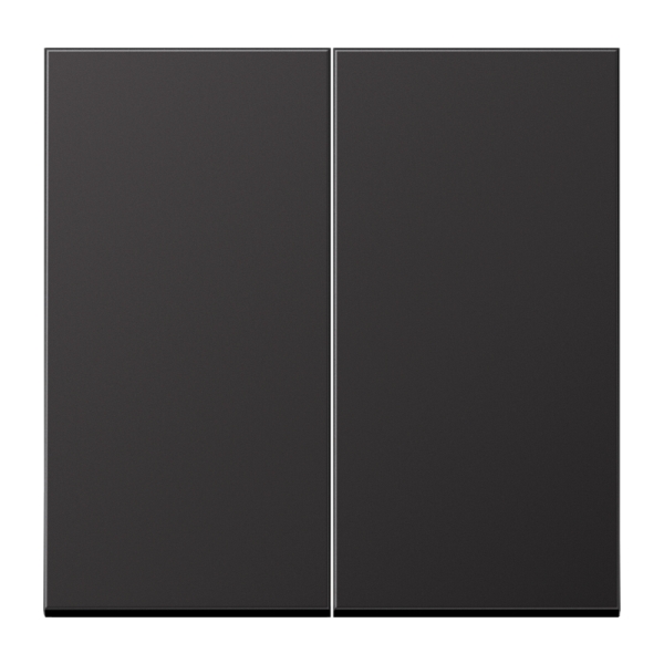 Jung AL2995D Wippe 2-fach Aluminium lackiert Serie LS dark (lackiertes Aluminium)