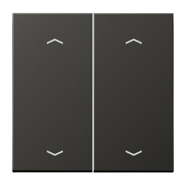 Jung AL2995MPAN Wippe 2-fach mit 4 Pfeilsymbolen Aluminium lackiert Serie LS anthrazit (lackiertes Aluminium)