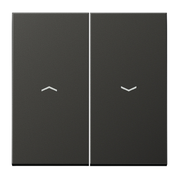 Jung AL2995PAN Wippe 2-fach mit Pfeilsymbolen Aluminium lackiert Serie LS anthrazit (lackiertes Aluminium)