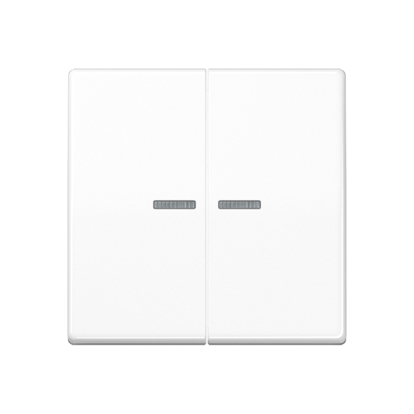 Jung BTA17102WW JUNG HOME Taster 2-fach Duroplast Serie A alpinweiß