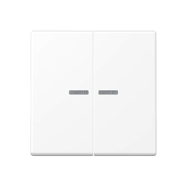 Jung BTA17102WWM JUNG HOME Taster 2-fach Thermoplast lackiert Serie A schneeweiß matt