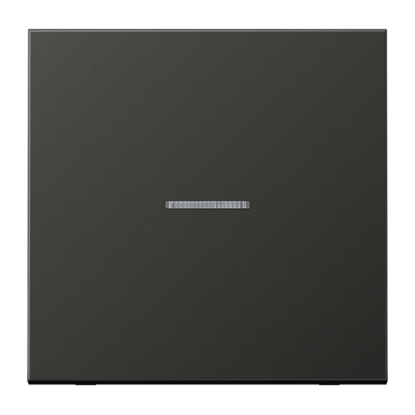 Jung BTAL17101AN JUNG HOME Taster 1-fach Aluminium lackiert Serie LS anthrazit (lackiertes Aluminium)