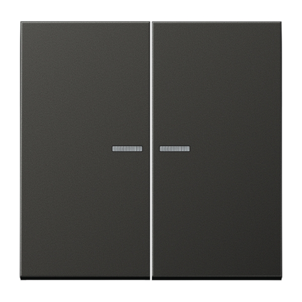 Jung BTAL17102AN JUNG HOME Taster 2-fach Aluminium lackiert Serie LS anthrazit (lackiertes Aluminium)