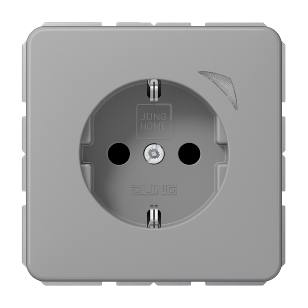 Jung BTCD1521SGR SCHUKO Steckdose 16A 250V Schraubklemmen mit Funktionsanzeige integrierter erhöhter Berührungsschutz SAFETY+ Thermoplast Serie CD grau