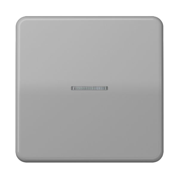 Jung BTCD17101GR JUNG HOME Taster 1-fach Duroplast Serie CD grau