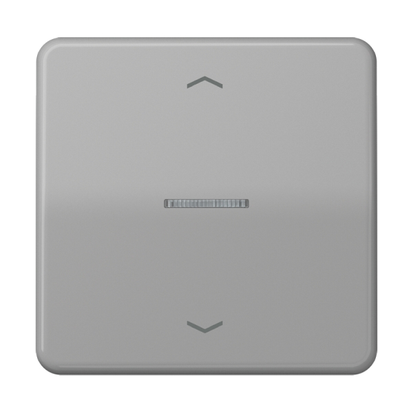 Jung BTCD17101PGR JUNG HOME Taster 1-fach mit Pfeilsymbolen Duroplast Serie CD grau