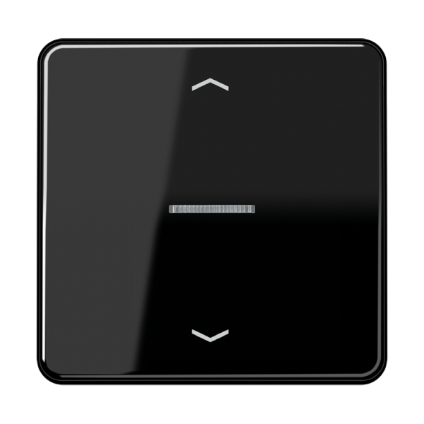 Jung BTCD17101PSW JUNG HOME Taster 1-fach mit Pfeilsymbolen Duroplast Serie CD schwarz