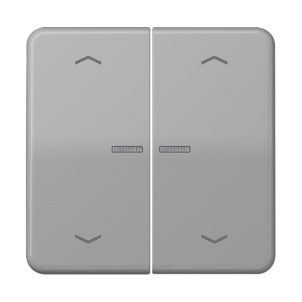 Jung BTCD17102PGR JUNG HOME Taster 2-fach mit Pfeilsymbolen Duroplast Serie CD grau