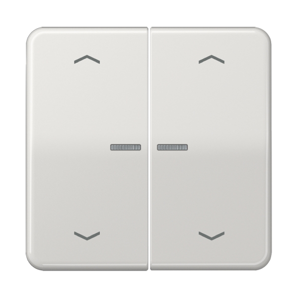 Jung BTCD17102PLG JUNG HOME Taster 2-fach mit Pfeilsymbolen Duroplast Serie CD lichtgrau