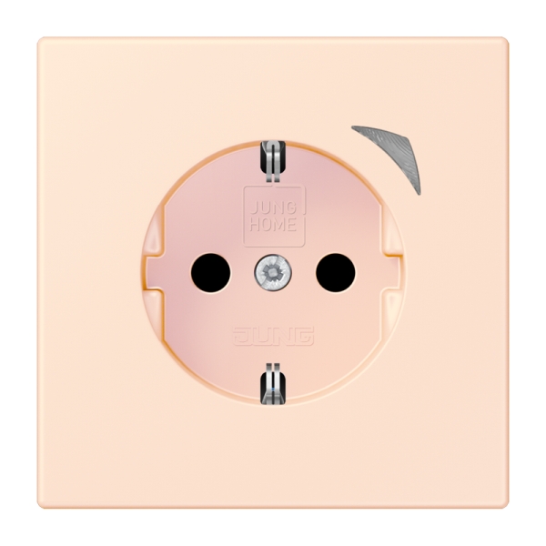 Jung BTLC1521SE226 JUNG HOME Schuko Steckdose 16A 250V Energy Schraubklemmen mit Funktionsanzeige integrierter erhöhter Berührungsschutz SAFETY+ Thermoplast
