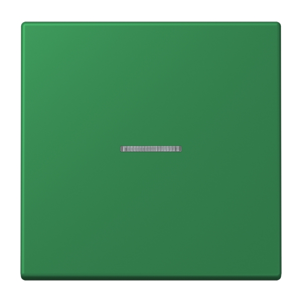 Jung BTLC17101219 JUNG HOME Taster 1-fach Serie LS vert foncé